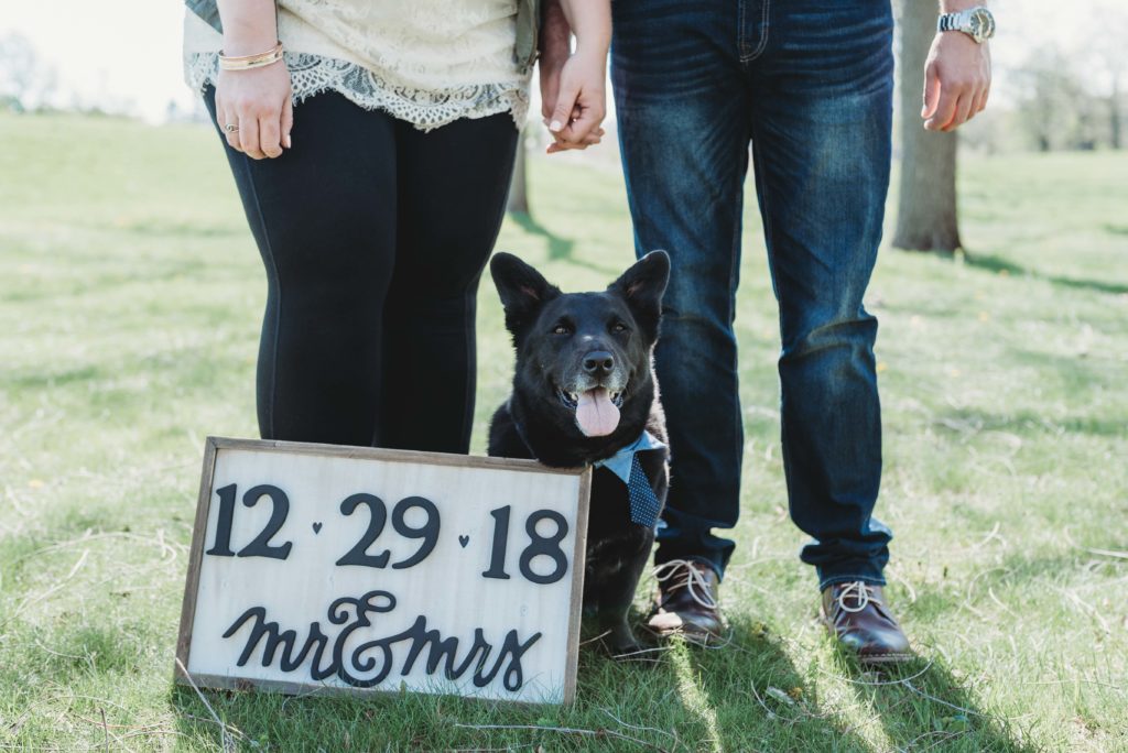 st james farm engagement, chicago engagement photography, chicago engagement photographer, chicago wedding, st james farm forest preserve, warrenville engagement