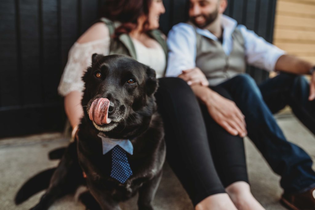 st james farm engagement, chicago engagement photography, chicago engagement photographer, chicago wedding, st james farm forest preserve, warrenville engagement