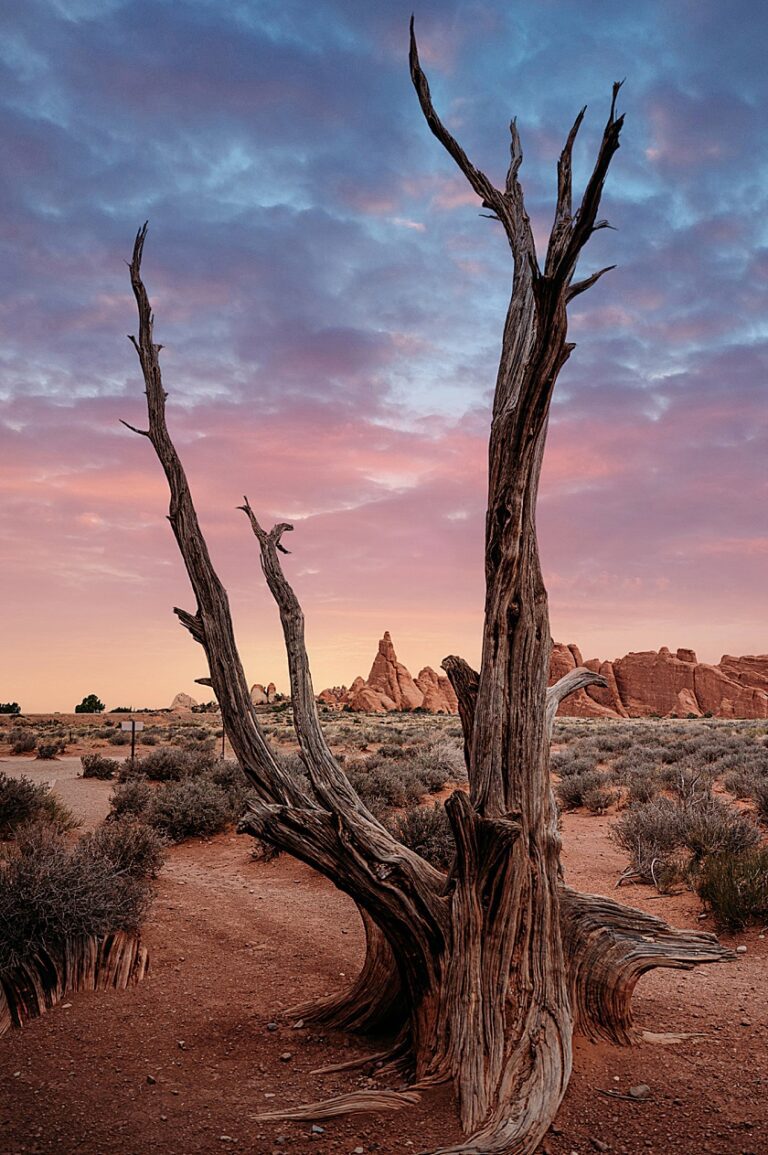 Sunset in Arches National Park