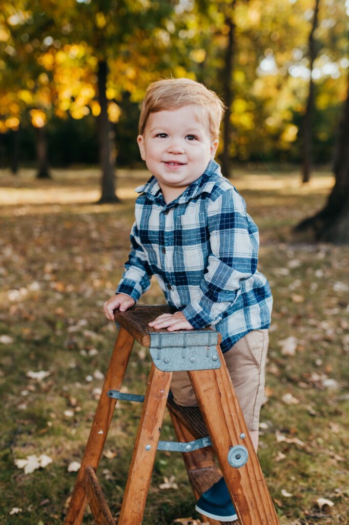 Little boy on ladder in the fall